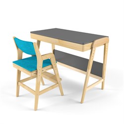Комплект растущий стол и стул с чехлом 38 попугаев «Вуди» (Серый, Без покрытия, Лазурь) - фото 40722