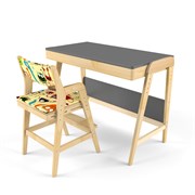 Комплект растущий стол и стул с чехлом 38 попугаев «Вуди» (Серый, Без покрытия, Монстры)