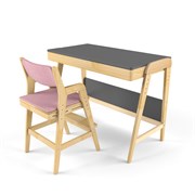 Комплект растущий стол и стул с чехлом 38 попугаев «Вуди» (Серый, Береза, Розовый)