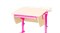Приставка фронтальная Астек для парты КОЛИБРИ и ЮНИОР (Цвет каркаса:Розовый, Цвет товара:Береза) - фото 18324