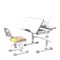 Комплект растущая парта и стул с чехлом RIFFORMA-07  (серый) - фото 33007