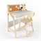 Комплект растущий стол «UNO» и стул «Робин Wood»  38 попугаев (Комбо белый, Береза) с аксессуарами (Бумажница, Карандашница, Органайзер) - фото 40409