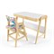 Комплект растущий стол и стул с чехлом 38 попугаев «Вуди» (Белый, Береза, Мечта) - фото 40518