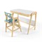 Комплект растущий стол и стул с чехлом 38 попугаев «Вуди» (Белый, Без покрытия, Салют) - фото 40547