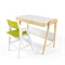 Комплект растущий стол и стул с чехлом 38 попугаев «Вуди» (Белый, Белый, Грин) - фото 40712